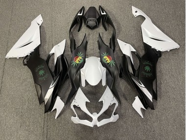 Faccia Felice 2019-2023 Kawasaki ZX6R Carénage Moto